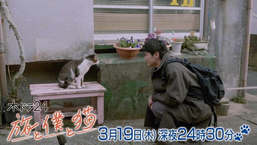 【予告】木ドラ24「旅と僕と猫」第3話
