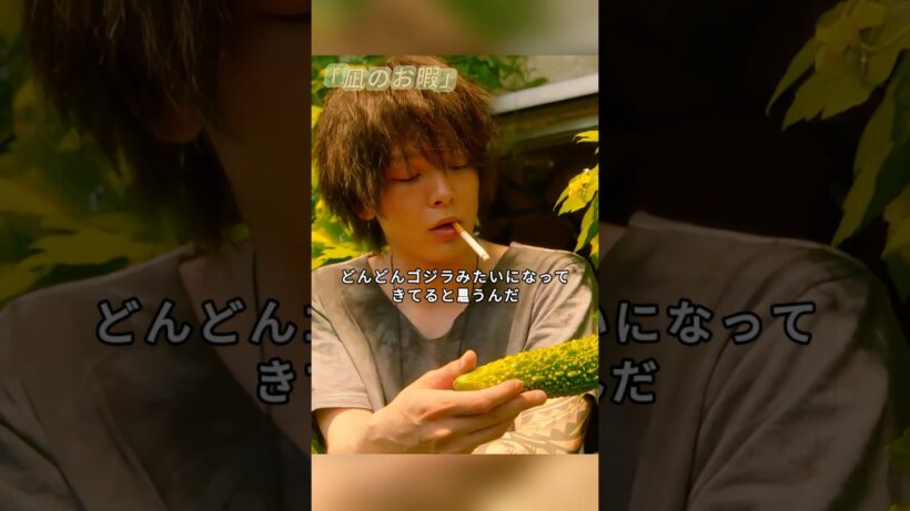 「凪のお暇」「どんどんゴジラみたいになってきてる」—黄色いラッキーゴーヤと隣人の話