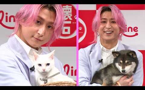Snow Man佐久間大介「かわいいね♡」、再会した犬＆猫にメロメロ　愛猫ツナ＆シャチとの暮らしで「一番幸せな時」は？（ペットライン 「懐石」新CM＆アンバサダー継続発表会）