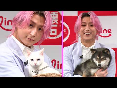 Snow Man佐久間大介「かわいいね♡」、再会した犬＆猫にメロメロ　愛猫ツナ＆シャチとの暮らしで「一番幸せな時」は？（ペットライン 「懐石」新CM＆アンバサダー継続発表会）