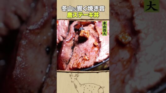 東出昌大 / 鹿ステーキ丼