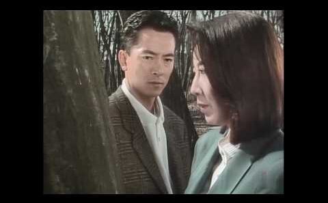 火曜サスペンス劇場 浅見光彦ミステリー③「佐渡伝説殺人事件」（1988年）水谷豊・高橋悦史・泉昌子・乙羽信子・鮎川いずみ ・ポール牧‐