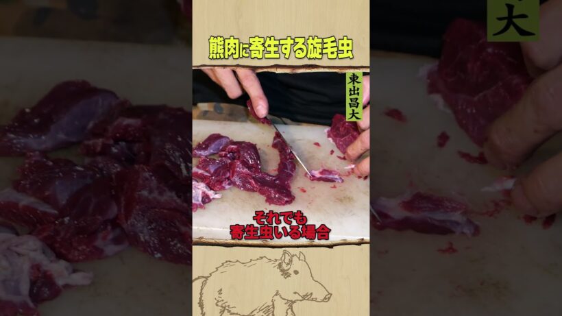 東出昌大 / 熊肉に寄生する旋毛虫