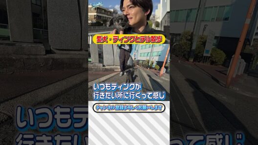 【中山優馬】愛犬・ティンクとチル散歩【前編】_short