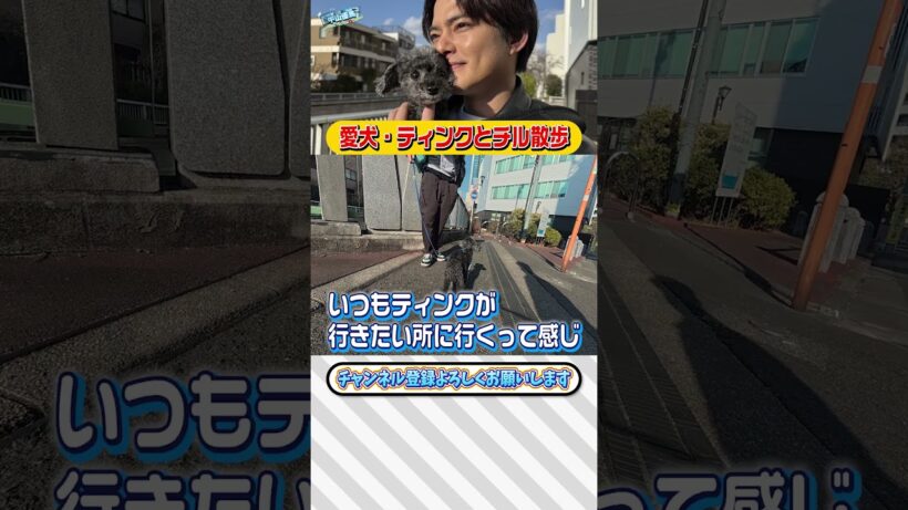 【中山優馬】愛犬・ティンクとチル散歩【前編】_short