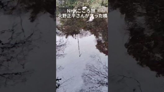 懐旧、舟木一夫さん「泣かないで」。火野正平さんはこころ旅で2013年春と2022年春の2回醒ヶ井のここ地蔵川を訪れています。あれから2年で亡くなられるとは、泣かないで。