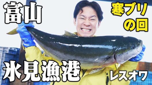 ​​【絶品】今回の食材は冬の王者「寒ブリ」きときとな刺身は噛めば噛むほど甘味のある脂が溢れ出る！これこそ現地でしか食べられない究極の食材！