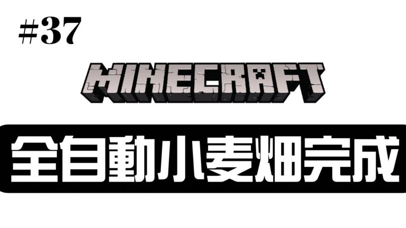 【#37】銅ゴーレムが大活躍の全自動小麦畑が完成！谷口賢志のゲーム生配信【マインクラフト】