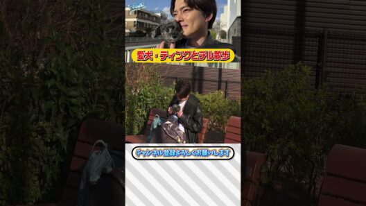 【中山優馬】愛犬・ティンクとチル散歩...ティンクに救われた【後編】_short