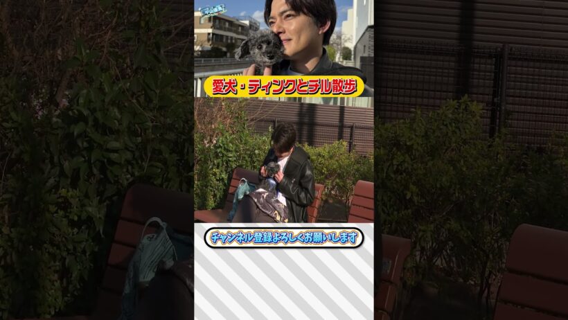 【中山優馬】愛犬・ティンクとチル散歩...ティンクに救われた【後編】_short