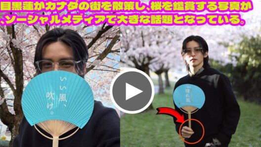 NEW:目黒蓮がカナダの街を散策し、桜を鑑賞する写真が、ソーシャルメディアで大きな話題となっている。