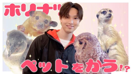 癒やしのペットを見つけよう！