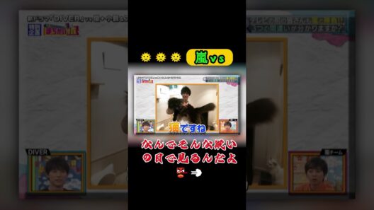 【嵐】💕🅷🅾🆃 2026💕『なんでそんな疑いの目で見るんだよ😂』🌼