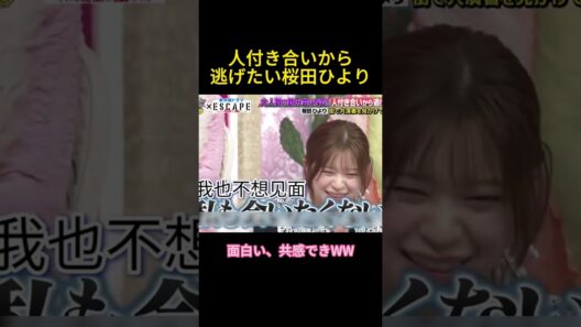 人付き合いから逃げたい桜田ひより#面白い #お笑い #佐野勇斗#樱田日和