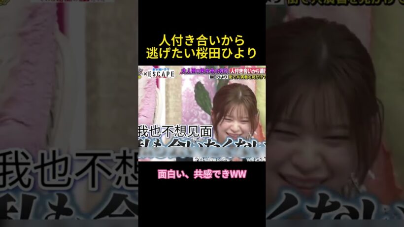 人付き合いから逃げたい桜田ひより#面白い #お笑い #佐野勇斗#樱田日和