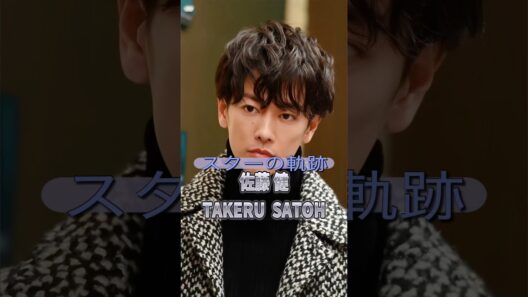 佐藤健の歴史　　　　　　　　　　#俳優 #ドラマ #映画 #芸能人