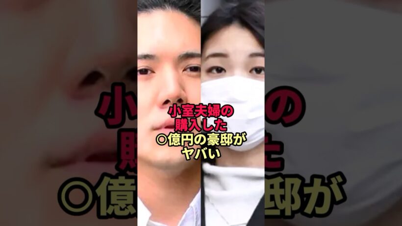 小室夫婦の購入した⭕️億円の豪邸がヤバい