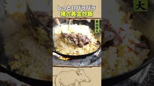 東出昌大 / 猪の黄金炒飯