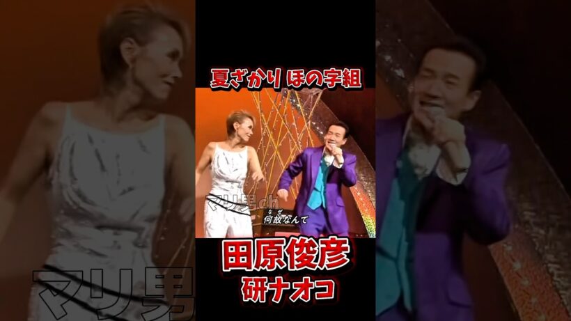 田原俊彦 夏ざかりほの字組 研ナオコ #昭和歌謡 #田原俊彦 #研ナオコ