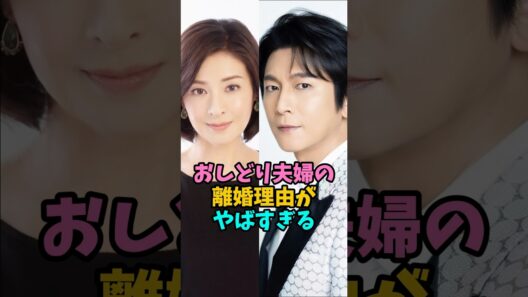 おしどり夫婦の離婚理由がヤバすぎた#及川光博 #夫婦 #離婚 #前田敦子