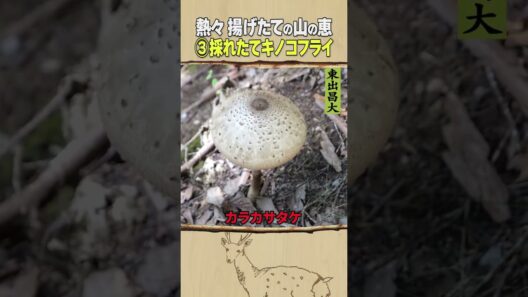 東出昌大 / 熱々揚げたての山の恵