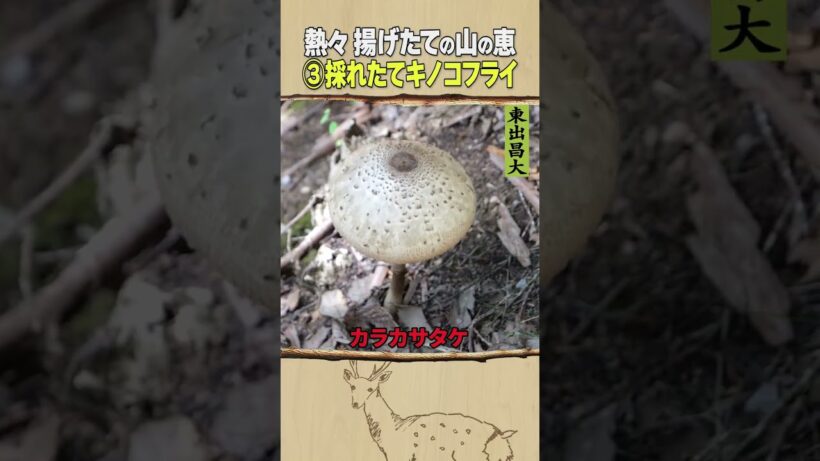 東出昌大 / 熱々揚げたての山の恵