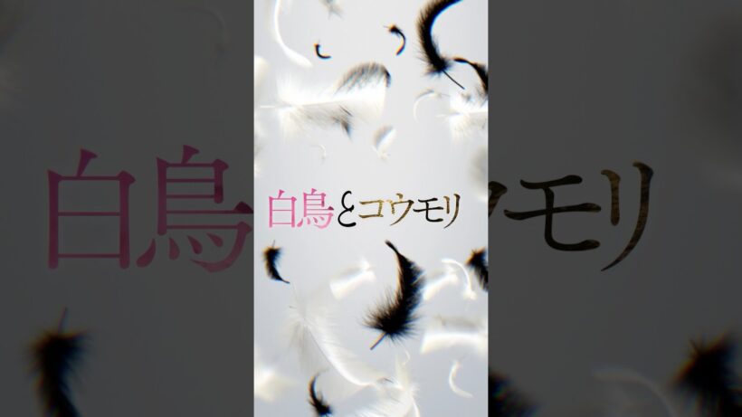 映画『白鳥とコウモリ』9.4(Fri.)ROADSHOW #映画白鳥とコウモリ #東野圭吾 #松村北斗 #今田美桜 #中村芝翫 #三浦友和
