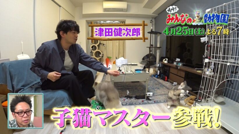 「嗚呼!!みんなの動物園」4月25日土曜よる7時から放送！ティモンディ前田が預かる子猫ワカメの人なれのため、子猫マスター津田健次郎が訪問！相葉トリミングは親友横山裕ともじゃもじゃワンちゃんをキレイに！