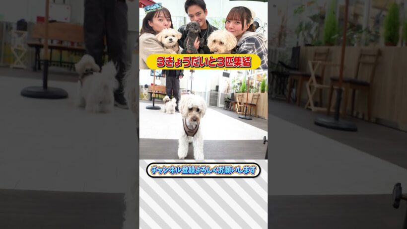 【中山優馬】３きょうだいと３匹が集結【前編】_short