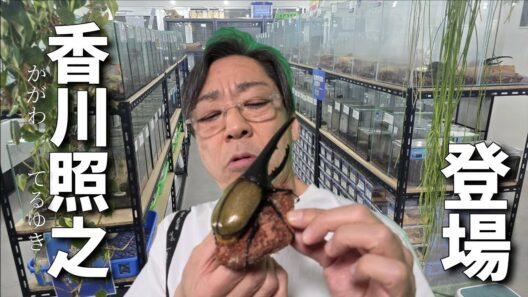 香川照之に自慢のカブトムシ見せびらかせてみた