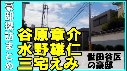 有名俳優の豪邸ツアー｜谷原章介の自宅周辺を徹底取材　#不動産 #不動産投資 #豪邸見学ツアー #物件紹介#高級住宅街 #豪邸