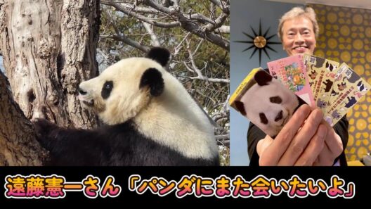 【パンダニュース】遠藤憲一さん「早くまた中国からパンダが来てほしいと思う」【パンダ】 panda