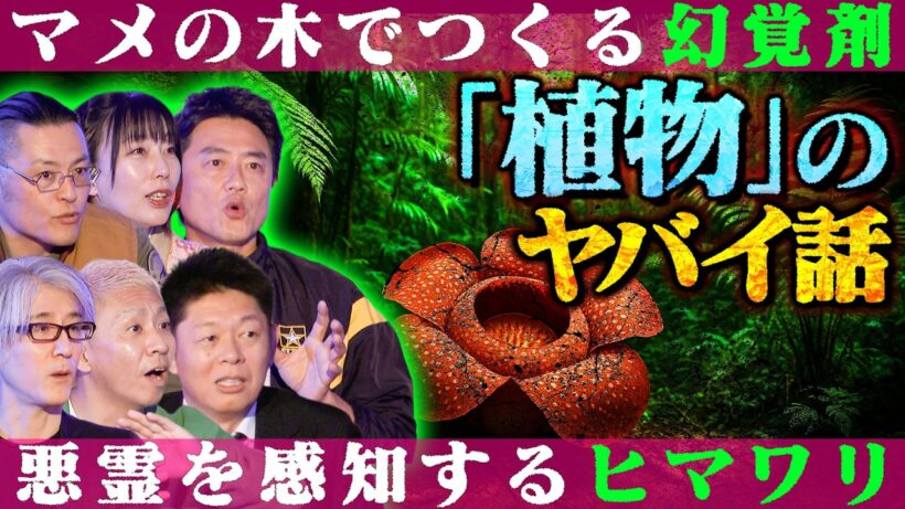 【初耳怪談】※ガチ恐怖※《幻覚剤》になる植物を儀式に…南米のヤバい民族※不可解※何者かが自宅に侵入…遺留品"ザクロ"の意味【原田龍二】【阿部吉宏】【島田秀平】【大赤見ノヴ】【響洋平】【牛抱せん夏】
