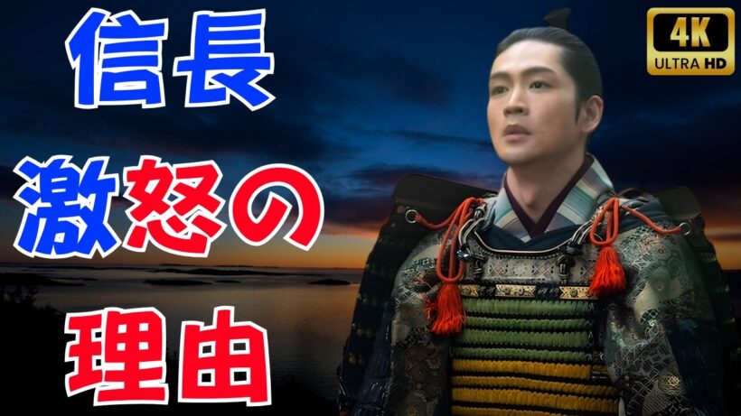 松下洸平に試練！信長激怒の理由と家康が逃げられない真相『豊臣兄弟！』  #豊臣兄弟 #松下洸平 #徳川家康