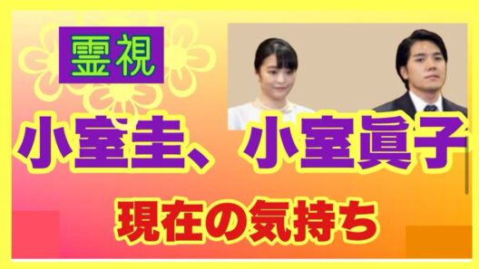 【霊視＆五行】小室圭と小室眞子の現在の心境