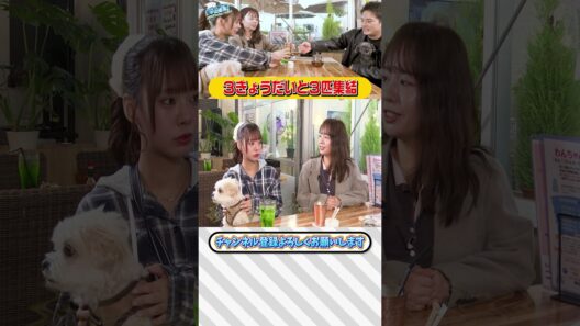 【中山優馬】３きょうだいと３匹が集結...１年ぶりぐらいの３きょうだいトーク【後編】_short