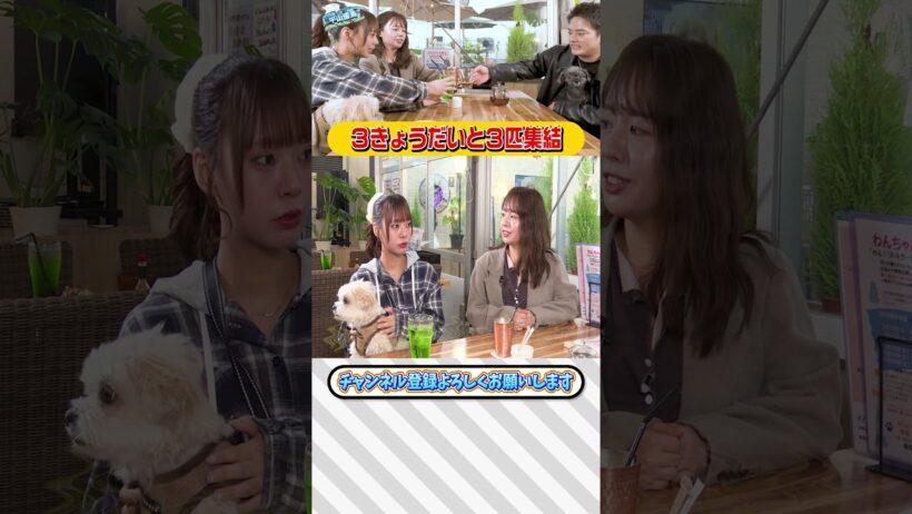 【中山優馬】３きょうだいと３匹が集結...１年ぶりぐらいの３きょうだいトーク【後編】_short