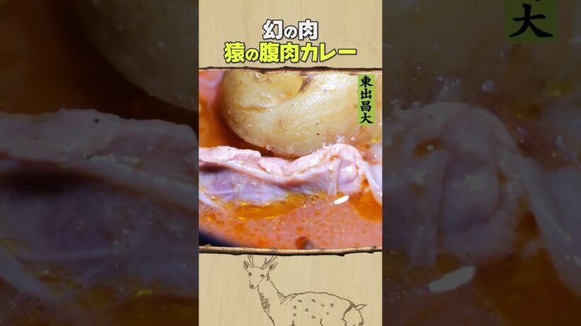 東出昌大 / 猿の腹肉カレー