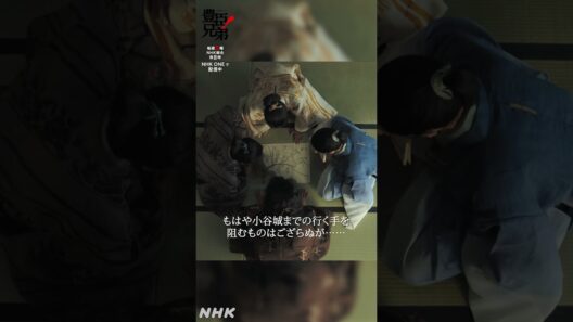作戦会議中！【大河ドラマ 豊臣兄弟！】| NHK | #shorts