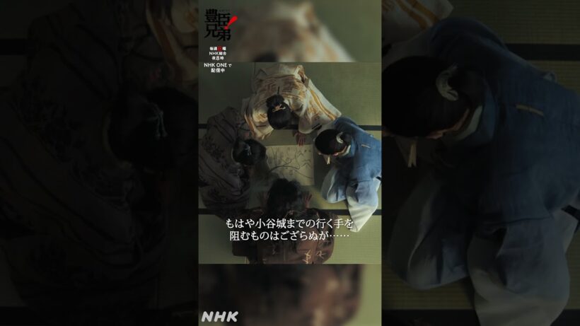 作戦会議中！【大河ドラマ 豊臣兄弟！】| NHK | #shorts