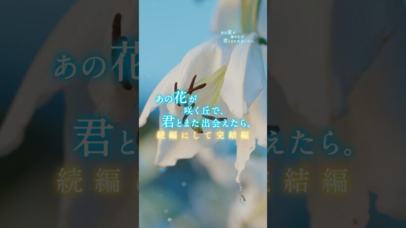 映画『あの星が降る丘で、君とまた出会いたい。』主題歌予告（30秒）【8.7(fri)公開】　#映画あの星 #あの星が降る丘で君とまた出会えたら #福原遥