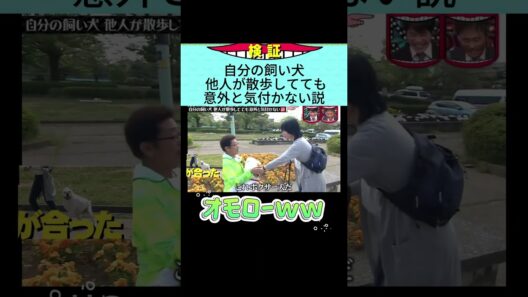 自分の飼い犬 他人が散歩してても意外と気付かない説#水曜日のダウンタウン#検証動画#検証#検証系#説検証#浜田雅功#松本人志 #shorts #funny #お笑い#面白集#面白い#お笑い芸人