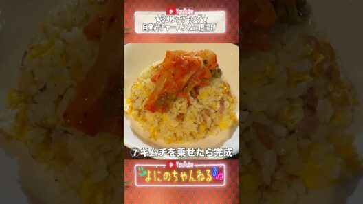 よにのちゃんねる【やまふまの30秒クッキング】チャーハンと唐揚げは絶品