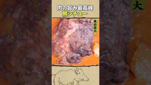 東出昌大 / 熊シチュー
