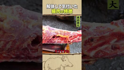 東出昌大 / 猿肉の特徴