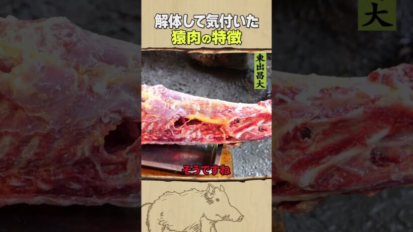東出昌大 / 猿肉の特徴