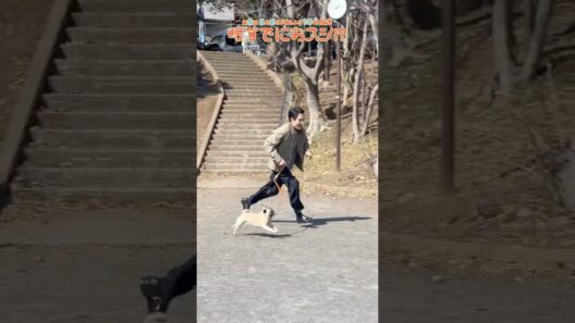 『#時すでにおスシ!?』メイキング📹松山"犬"イチ!?🐶ホタテちゃんにメロメロ☺️ #松山ケンイチ