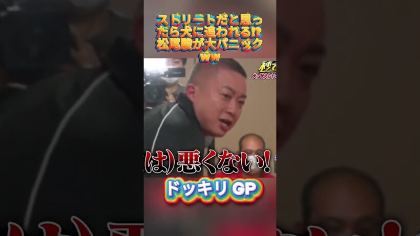 ストリートだと思ったら犬に追われる!? 松尾駿が大パニックww#菊池風磨 #ドッキリgp #金の像  #ダウンタウン #テレビ #いいね