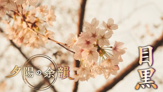 「夕陽の余韻」目黒へ　2026年4月22日放送分