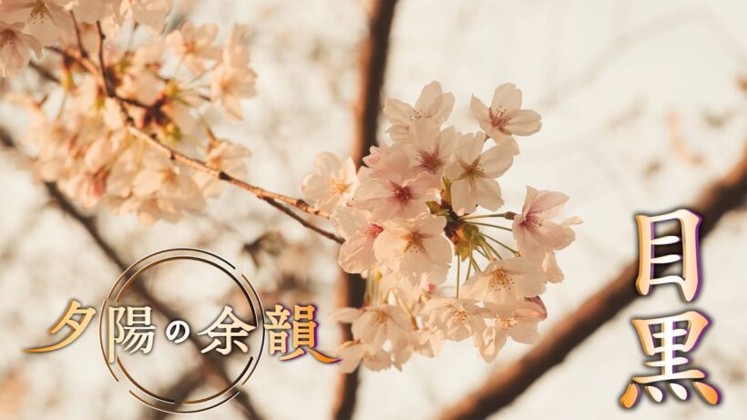 「夕陽の余韻」目黒へ　2026年4月22日放送分